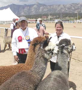 Robin and Gary Neher at an alpaca show