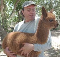 Gary Neher holding an alpaca